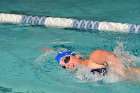 Swimming vs Bentley  Wheaton College Swimming & Diving vs Bentley College. - Photo by Keith Nordstrom : Wheaton, Swimming & Diving